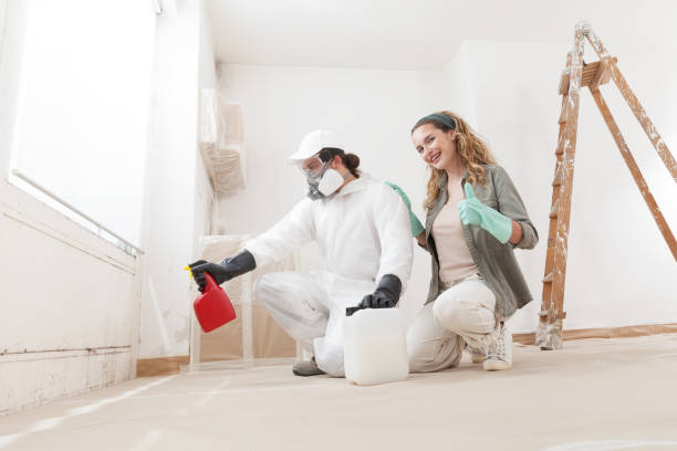 Best Mold Damage Restoration  in Jamestown, KY